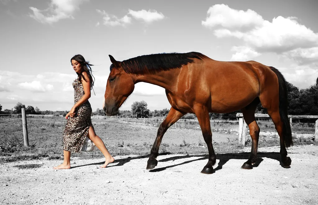 Couleur, paysage en plein soleil : une femme pieds nus en robe léopard marche à côté d’un cheval bai sur un chemin clair.