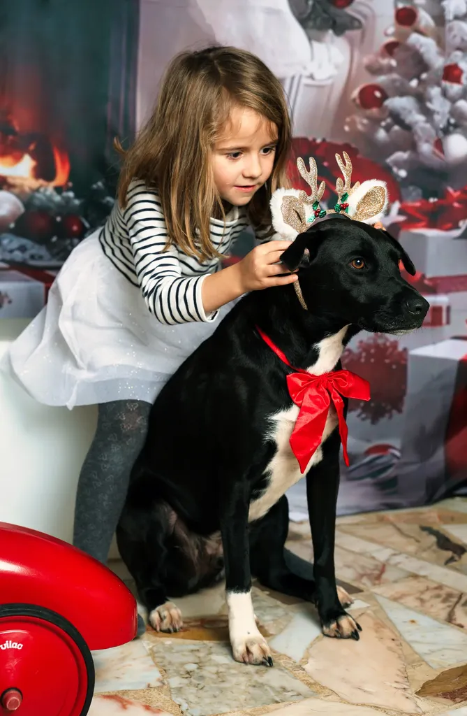 Fillette en marinière posant des oreilles de renne sur un chien noir au nœud rouge, devant un décor de Noël.